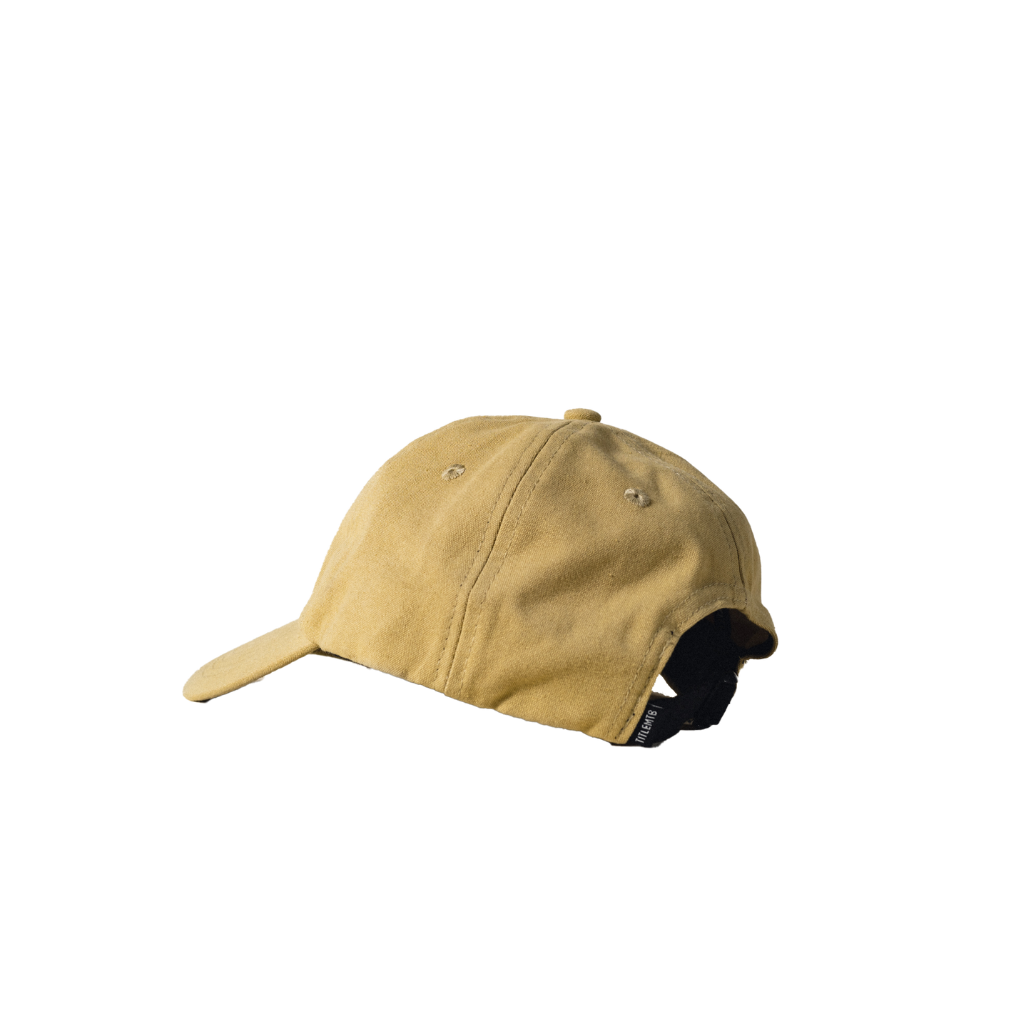 Six Panel Dad Hat